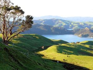 North-Island-New-Zealand-scenery